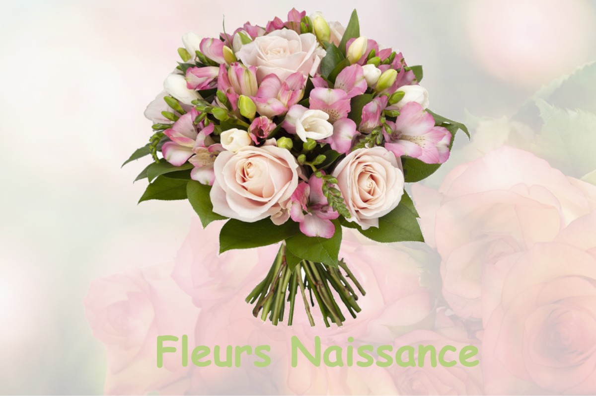 fleurs naissance CHEVILLON-SUR-HUILLARD